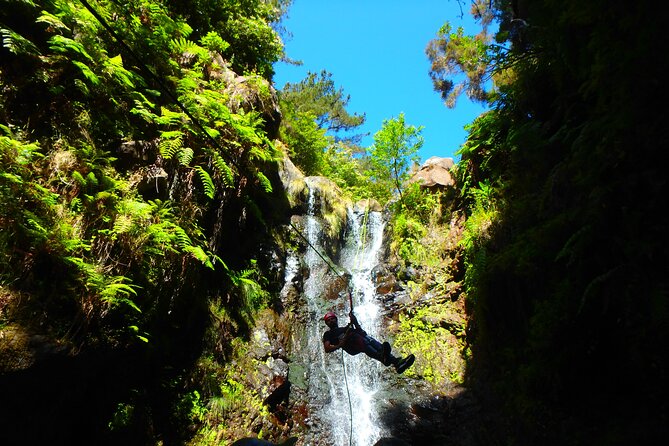 Canyoning Madeira Island - Level One - Traveler Experiences