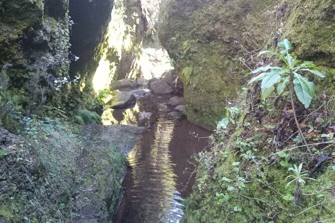 Canyoning Madeira Private/Small group tour - Introduction: An Authentic Adventure in Madeira’s Wilderness