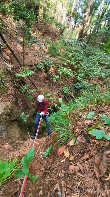 Canyoning Tenerife: Canyoning Adventure - Itinerary Details