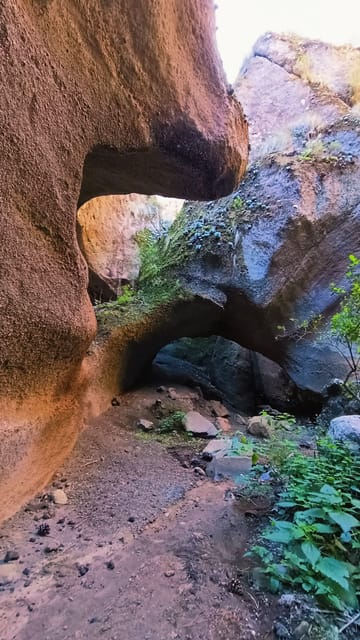 Canyoning Tenerife: Canyoning Adventure - Expert Guides