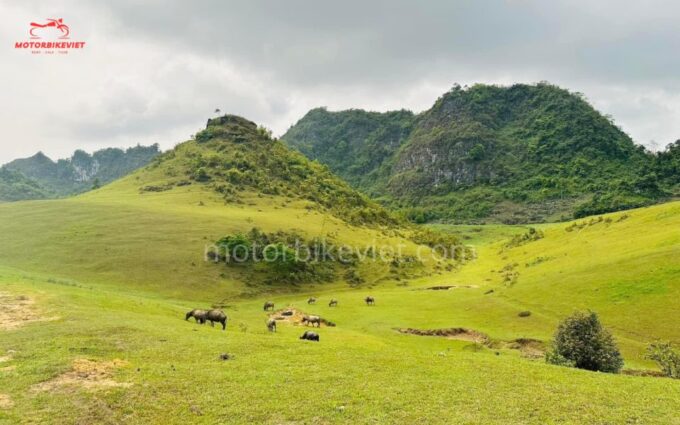 Cao Bang Loop 3 Days 2 Nights in Hanoi | Travel Buddies