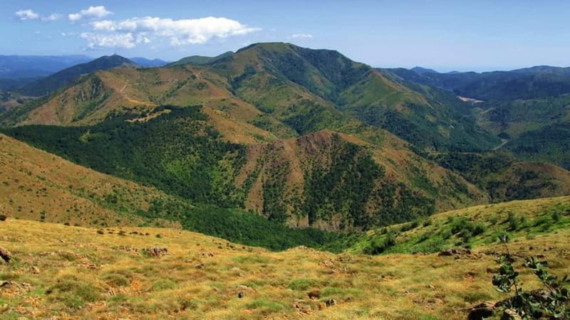 Capanne di Marcarolo Park: hiking on Mount Tobbio - The Sum Up