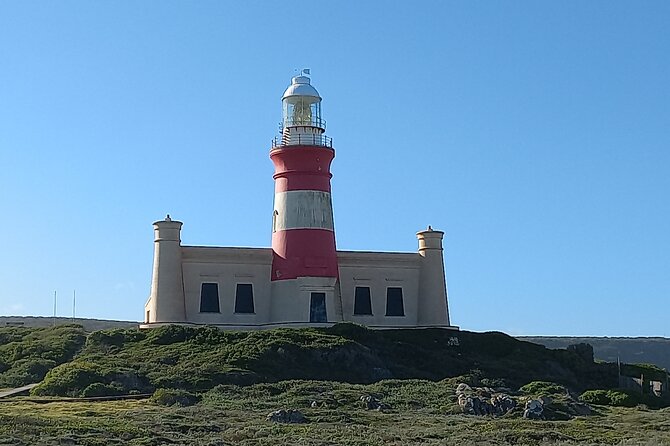 Cape Agulhas Full Day Private Tour - Pickup and Transportation Details