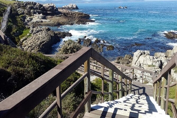 Cape Agulhas Full Day Private Tour - Frequently Asked Questions