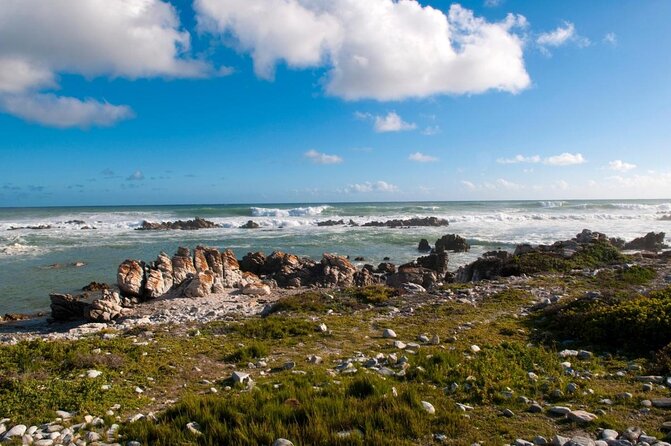 Cape Agulhas Full Day Private Tour From Cape Town - Good To Know