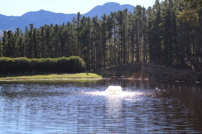 Cape Agulhas, Hermanus & Stoney Point Penguins Full Day Tour - Frequently Asked Questions