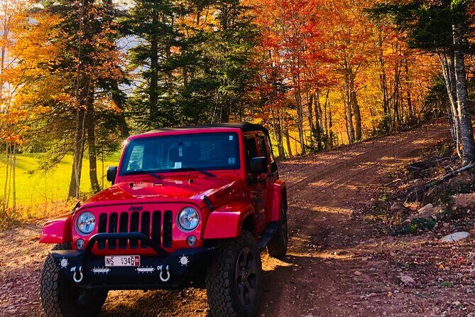 Cape Breton Fall Colours Tour On and Off Road - Practical Tips for Travelers