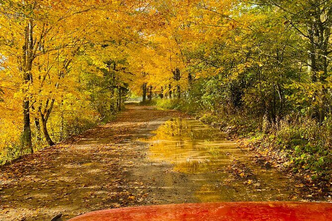 Cape Breton Fall Colours Tour On and Off Road - Frequently Asked Questions