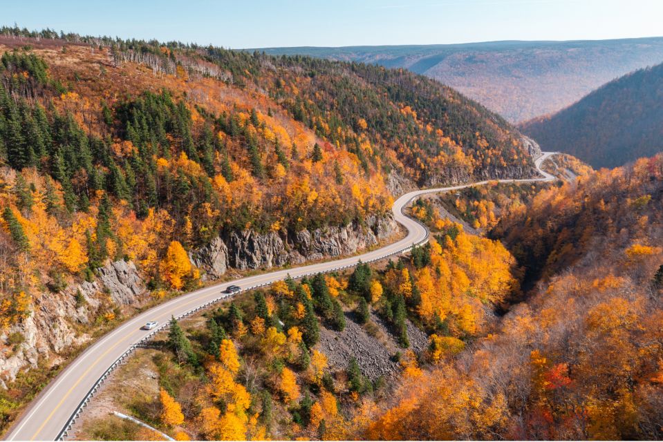 Cape Breton Island: Shore Excursion of The Cabot Trail - Outdoor Activities: Hiking and Wildlife Spotting