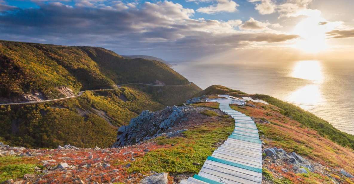 Cape Breton Island: Shore Excursion of The Skyline Trail - Highlights of the Excursion