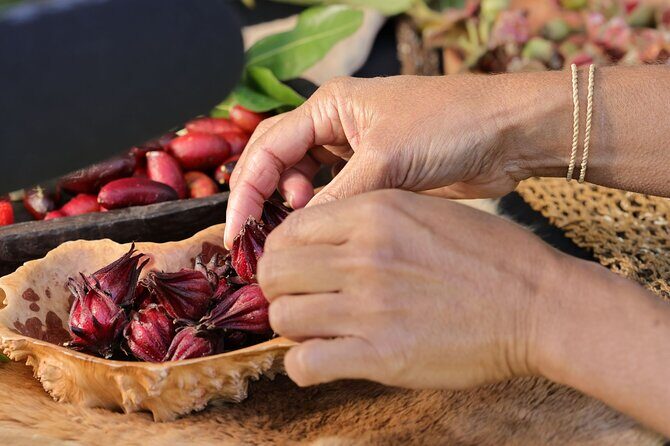 Cape Byron Aboriginal Tour - The Bottom Line: Why Choose This Tour?