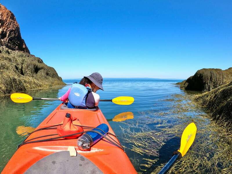 Cape Chignecto: Three Sisters Kayaking Day Tour - Who Is This Tour Best For?