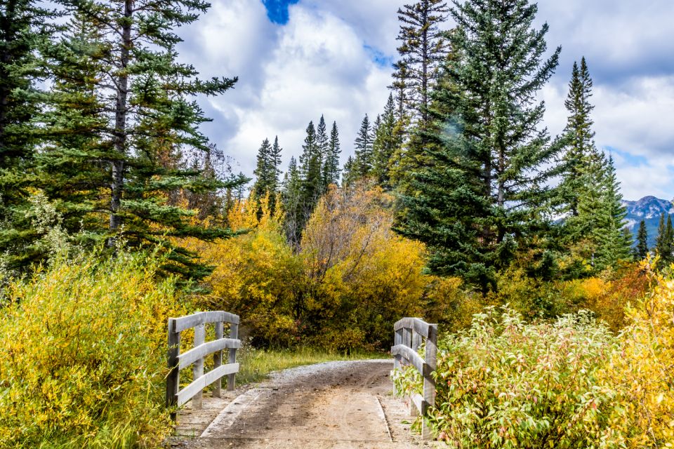 Cape Cod: Barnstable to Provincetown Tour - Pilgrim Monument, Provincetown