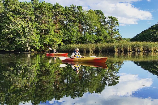 Cape Cod Kayak Rentals Review - Location and Meeting Point