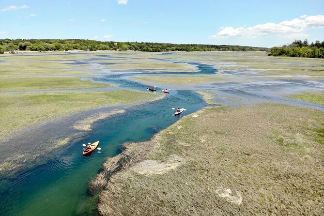 Cape Cod Kayak Rentals Review - End of Activity and Confirmation