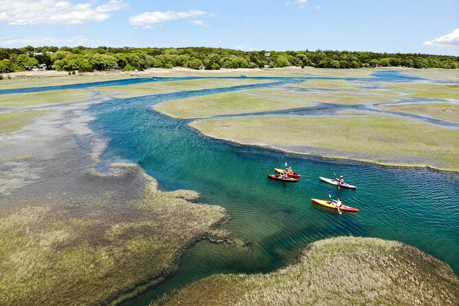 Cape Cod Kayak Rentals Review - Health and Safety Considerations
