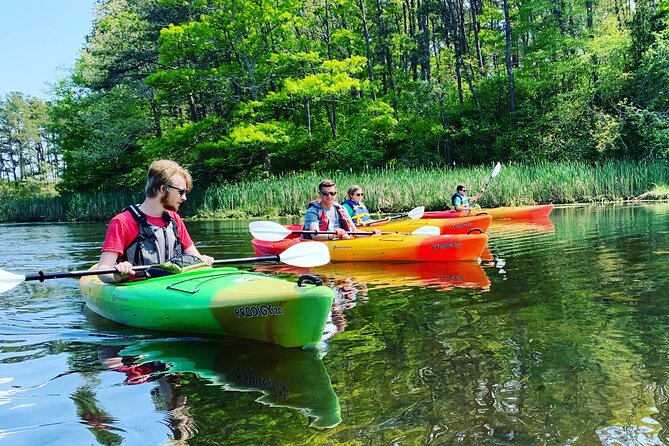 Cape Cod Kayak Rentals Review - Unique Selling Points