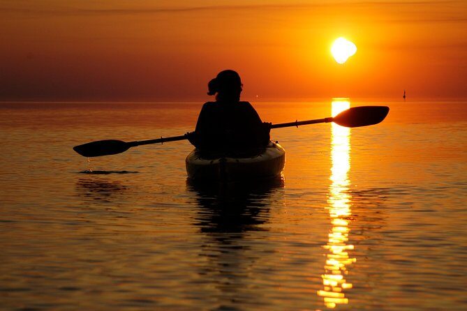 Cape Hatteras Kayak Adventure in Rodanthe - An In-Depth Look at the Cape Hatteras Kayak Tour