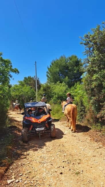 Cape Kamenjak Family Buggy 4-seater 2.5h Tour & Safari Bar - The Itinerary in Detail: What to Expect