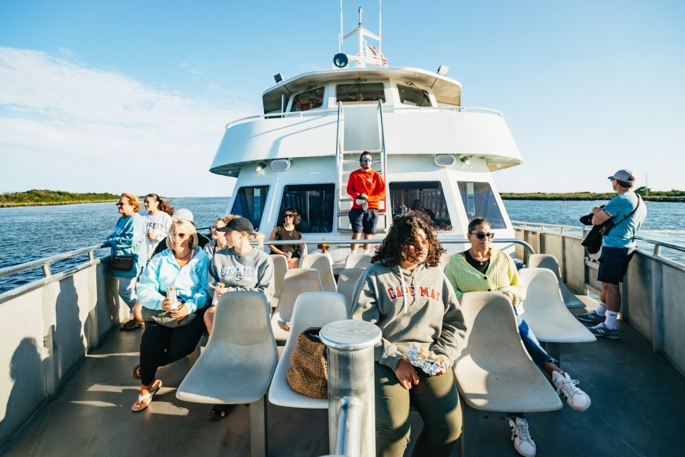 Cape May: Cape May Island Sunset Cruise & Dolphin Watching - Key Points