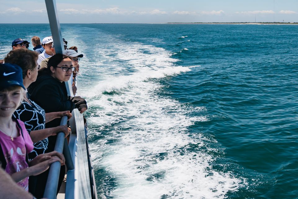 Cape May: Jersey Shore Whale and Dolphin Watching Cruise - Parking and Marina