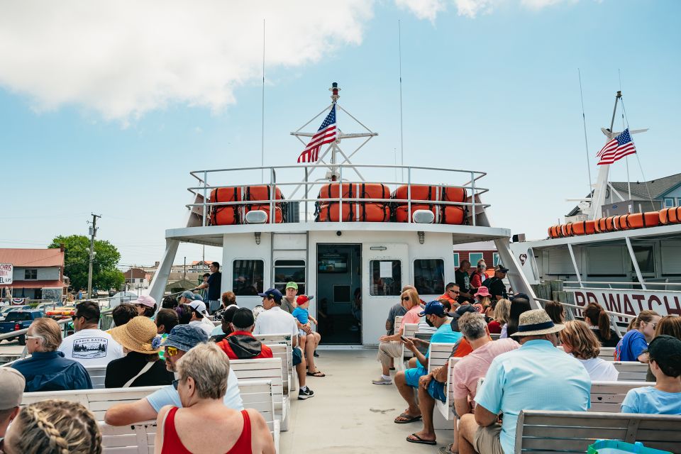 Cape May: Jersey Shore Whale and Dolphin Watching Cruise - Frequently Asked Questions