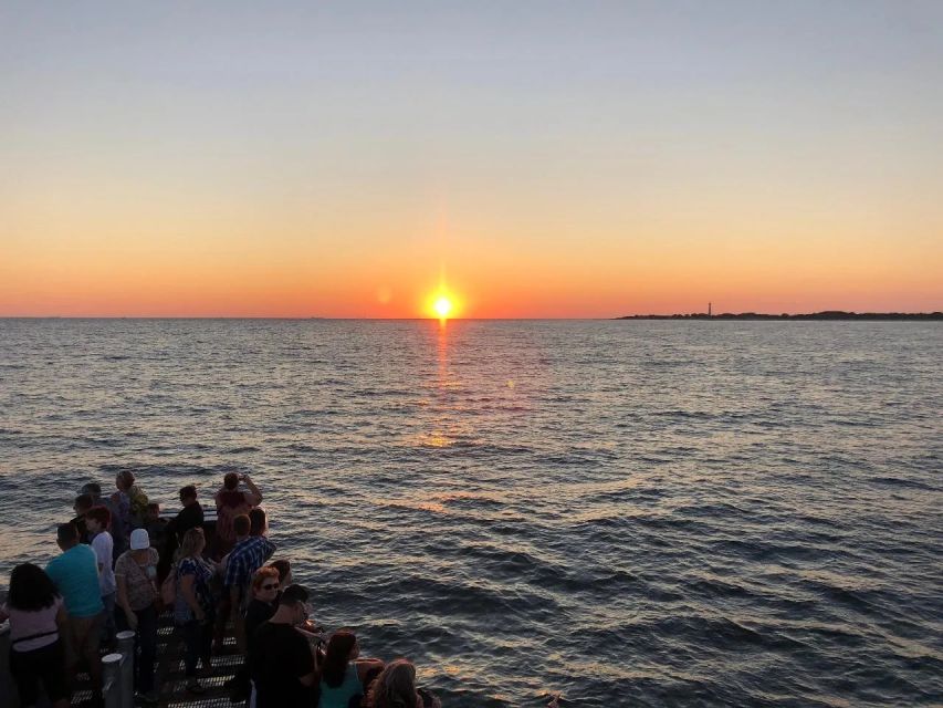 Cape May: Sunset Dolphin Cruise With Optional Wine Tastings - Highlights