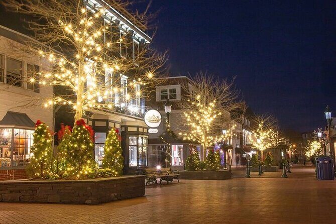 Cape May Walking Tour - Practical Details and Value