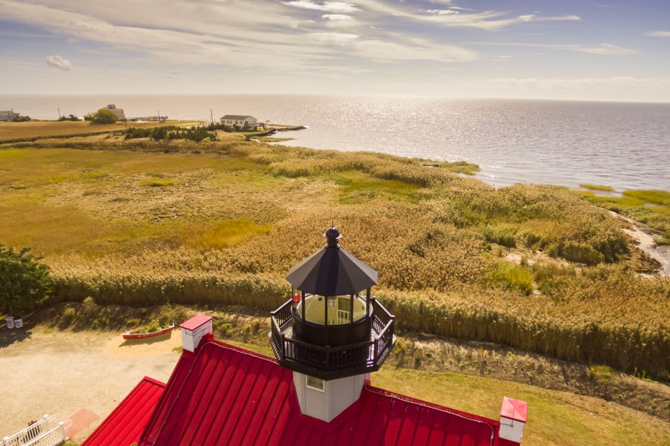Cape May: Weekend Whale and Dolphin Watching Cruise - Activity Highlights