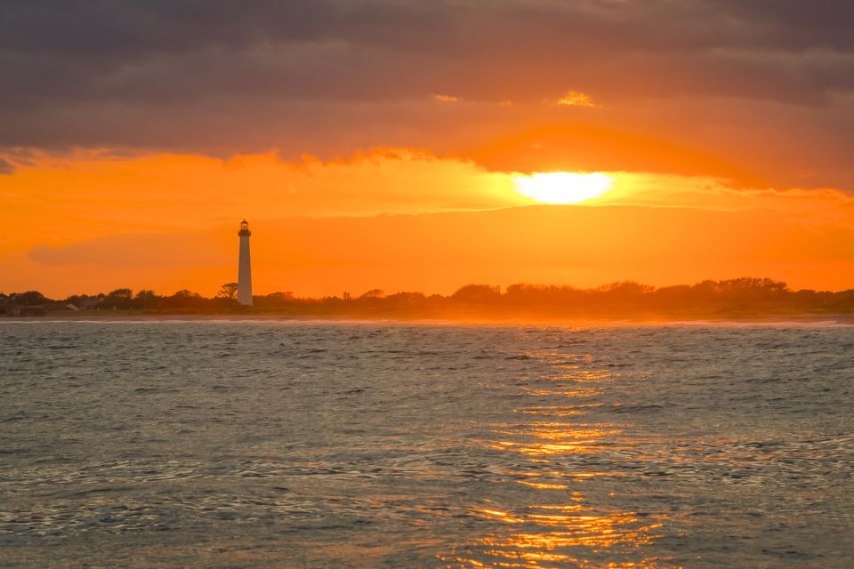 Cape May: Weekend Whale and Dolphin Watching Cruise - Included in the Cruise