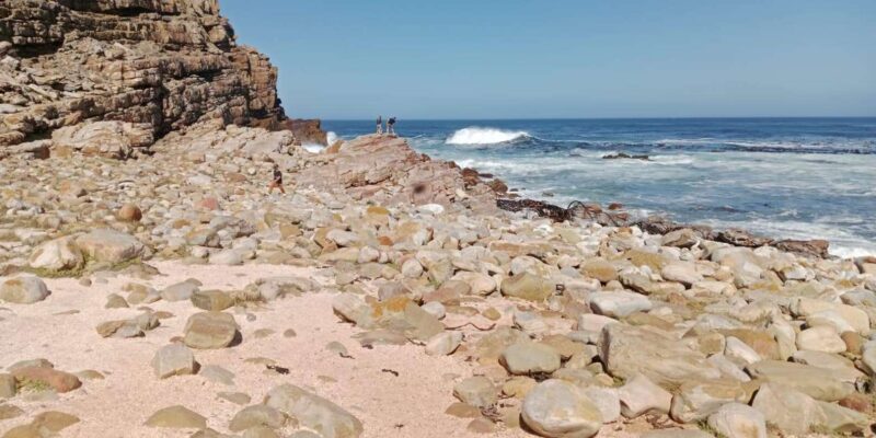 Cape of Good Hope and Cape Point Private Tour for One Day - Good To Know