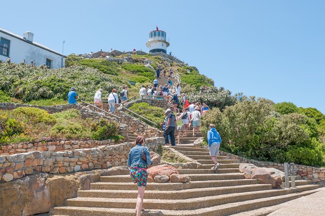 Cape of Good Hope and Penguins Full Day Small Group Tour From Cape Town - Traveler Feedback and Experiences