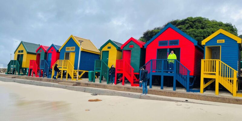 Cape of Good Hope and Penguins Group Tour Full Day - Accessibility and Gratuities