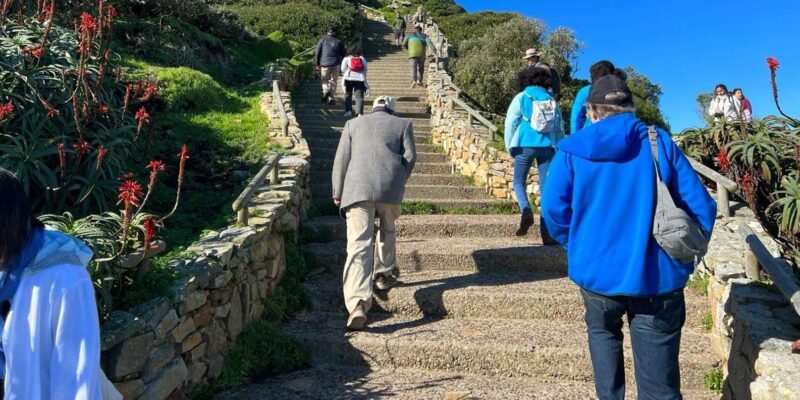 Cape of Good Hope and Penguins Viewing Private Day Tour - Good To Know