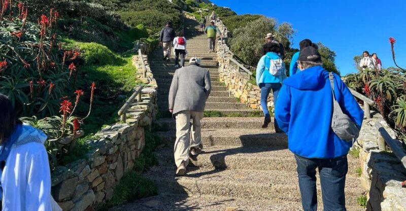 Cape of Good Hope and Penguins Viewing Private Day Tour - Highlights and Itinerary