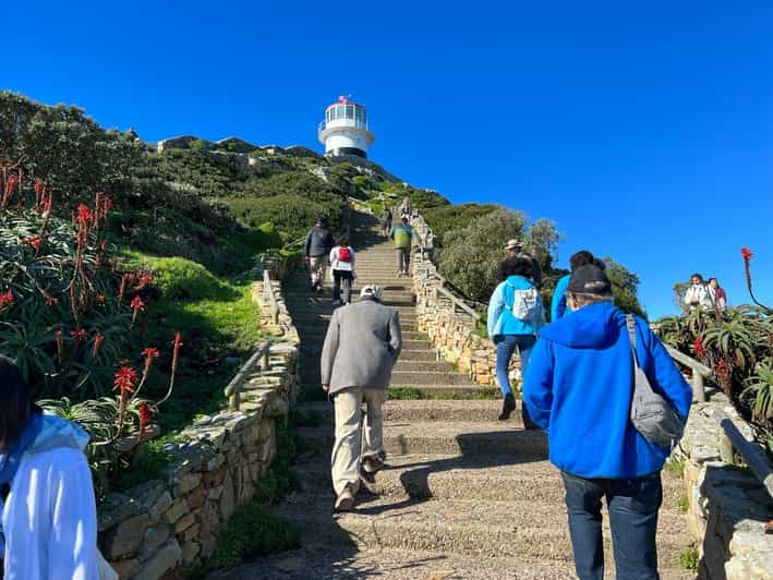 Cape of Good Hope and Penguins Viewing Private Day Tour - Included and Optional Fees