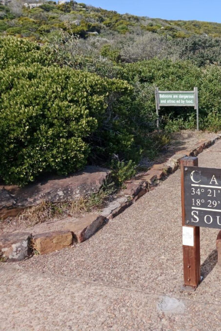 Cape of Good Hope and Penguins Viewing Private Day Tour - The Sum Up