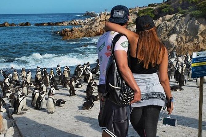 Cape of Good Hope-Cape Point - Penguins Private Tour Cape Town - Important Tour Information