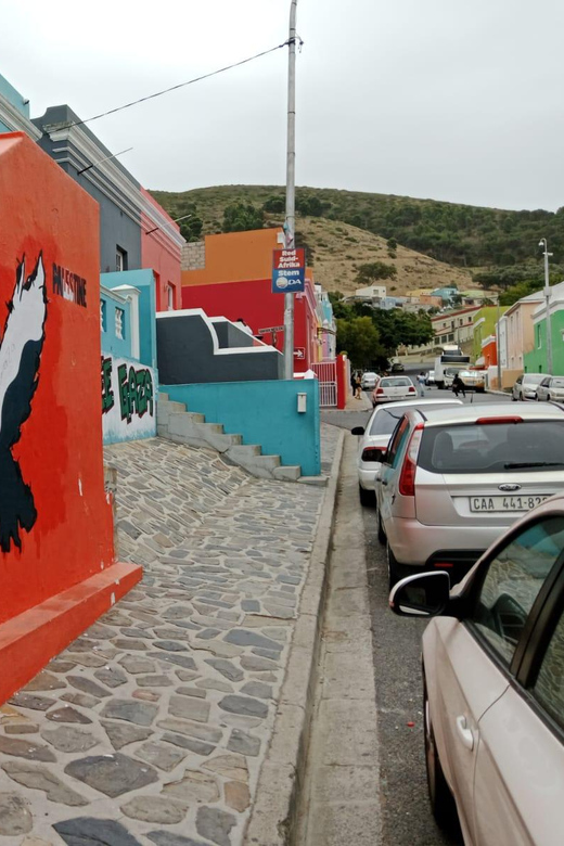 Cape of Good Hope, Penguins and Table Mountain Private Tour - Tour Experience