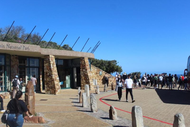 Cape of Good Hope & Penguins Private Tour - Itinerary Highlights