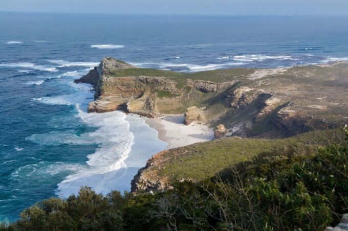 Cape of Good Hope Penguins Seals & Chapmans Peak Shared Tour - Visiting the African Penguin Colony