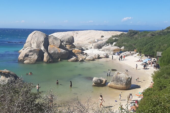 Cape of Good Hope, Seal Island and Penguins Tour - Inclusions and Exclusions