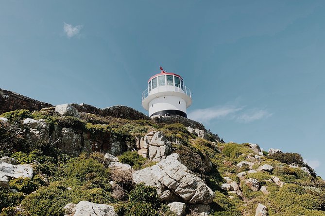 Cape of Good Hope, Table Mountain & Penguins Private Tour From Cape Town - Cancellation and Booking Policy