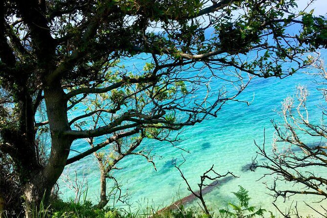 Cape of Rodon & Bunkers Day Tour Adventure from Durres - An In-Depth Look at the Itinerary