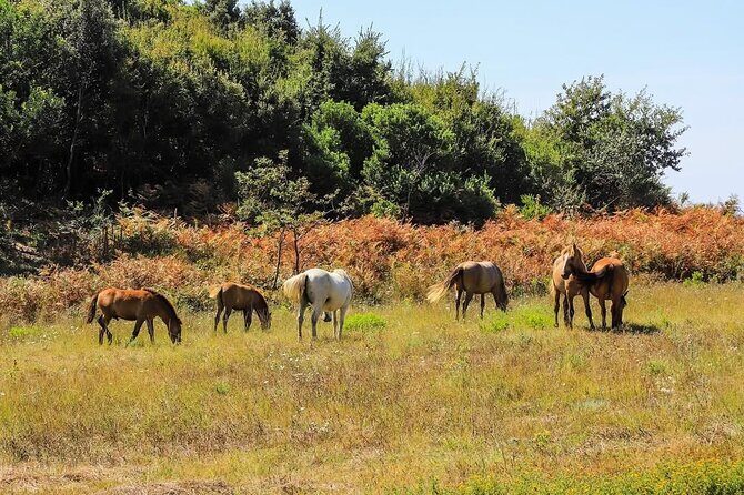 Cape of Rodon & Bunkers Day Tour Adventure from Durres - Who Would Love This Tour?