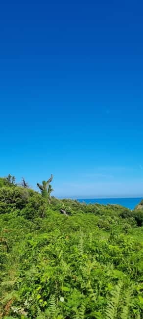 Cape of Rodon, Hiking to Castle, Beach, Wine testing tour! - Key Points