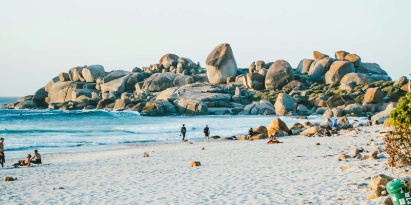 Cape Peninsula and Penguin Colony Full Day - Itinerary Highlights
