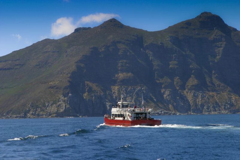 Cape Peninsula Full-Day Tour From Cape Town - Scenic Drives and Views