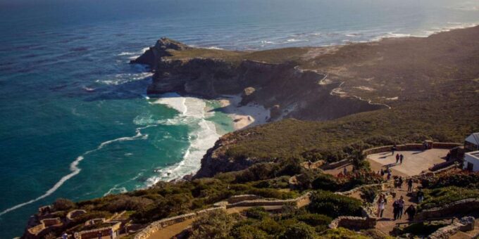 Cape Peninsula Half Day Tour - Frequently Asked Questions