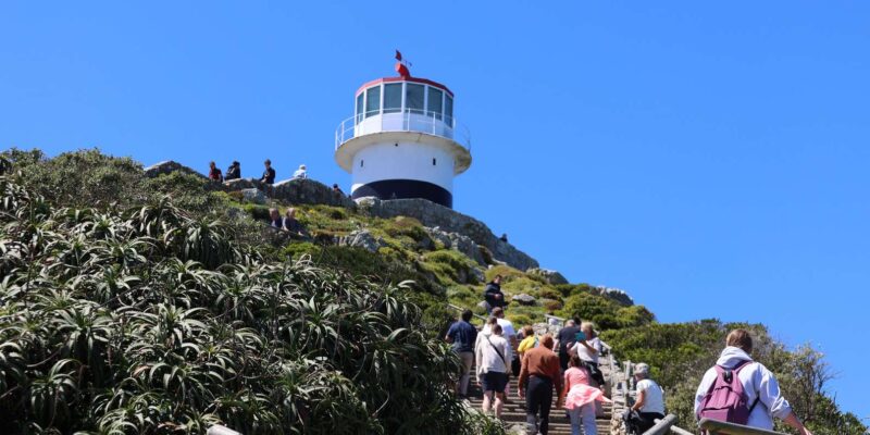 Cape Peninsula & Penguins Beach Half Day Tour From Cape Town - Good To Know